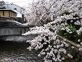 祇園北白川・辰巳神社