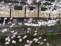 祇園北白川・辰巳神社