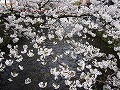 祇園北白川・辰巳神社