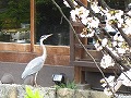 祇園北白川・辰巳神社