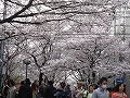 祇園北白川・辰巳神社