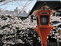 祇園北白川・辰巳神社