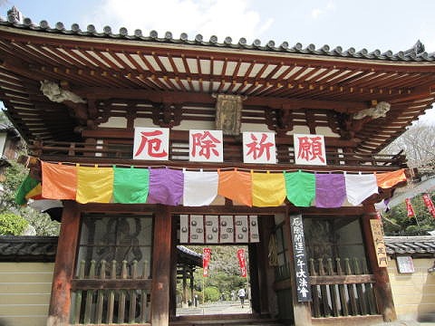 岡寺