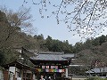 岡寺