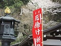 岡寺