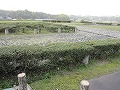 明日香遺跡