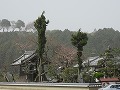 飛鳥寺