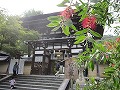 松尾神社