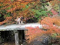 日吉神社