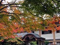 日吉神社