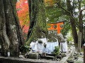 日吉神社