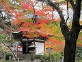 日吉神社