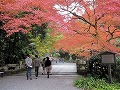 日吉神社