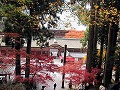 比叡山延暦寺