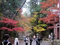 比叡山延暦寺