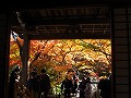 宝筐院（ほうきょういん）