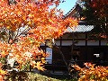 宝筐院（ほうきょういん）