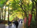 今熊野観音寺