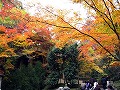 今熊野観音寺