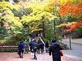 今熊野観音寺