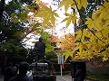 今熊野観音寺