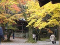 今熊野観音寺