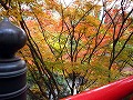 今熊野観音寺