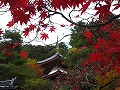 今熊野観音寺