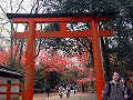 糺の森・河合神社