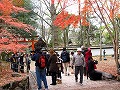 糺の森・河合神社