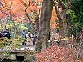 糺の森・河合神社