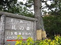 糺の森・河合神社