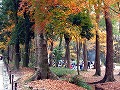 糺の森・河合神社