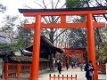 糺の森・河合神社