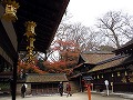 糺の森・河合神社