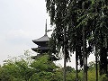 東寺