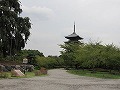 東寺