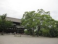 東寺