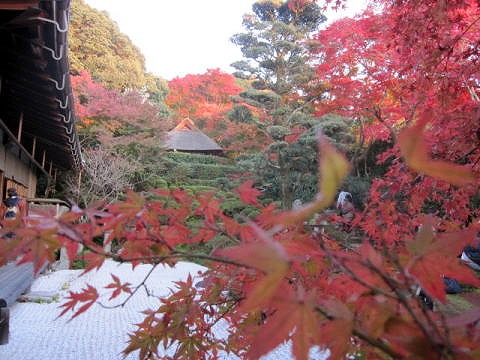 金福寺