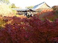 雲龍院