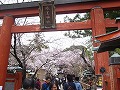 氷室神社