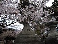 氷室神社