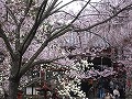 氷室神社