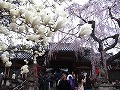 氷室神社