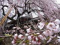 氷室神社