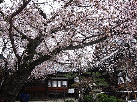 本隆寺