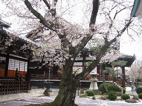 本隆寺