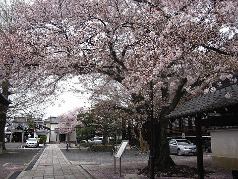 本隆寺