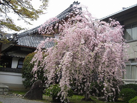 本隆寺