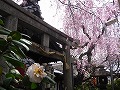 雨宝院